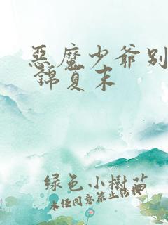 恶魔少爷别吻我 锦夏末