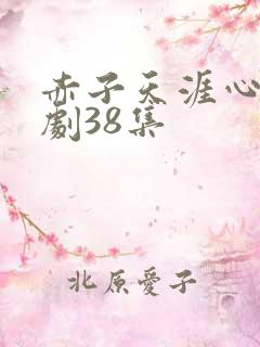 赤子天涯心电视剧38集