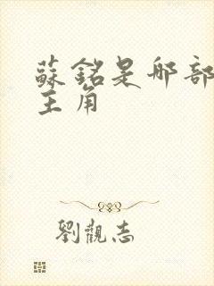 苏铭是哪部小说主角