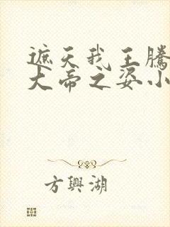 遮天我王腾真没大帝之姿小说