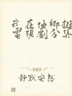 我在他乡挺好的电视剧分集剧情介绍