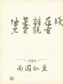 他是谁在线高清免费观看