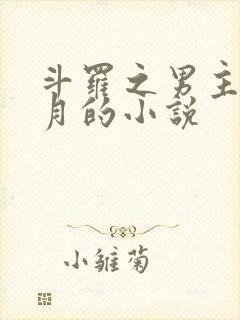 斗罗之男主是邪月的小说