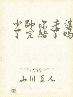 少帅你老婆又跑了完结了吗