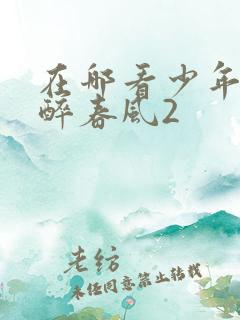 在哪看少年白马醉春风2