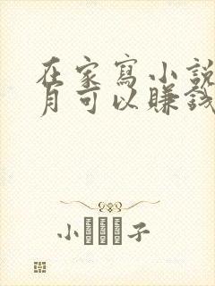 在家写小说一个月可以赚钱吗