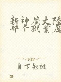 新神魔大陆手游哪个职业厉害