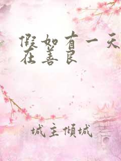 假如有一天我不在善良