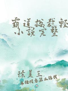 霸道总裁轻轻爱 小说完整