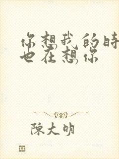 你想我的时候我也在想你