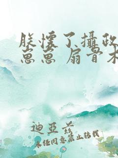 朕怀了摄政王的崽崽 扇骨木