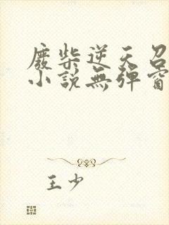 废柴逆天召唤师小说无弹窗