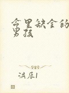 命里缺金的小名男孩