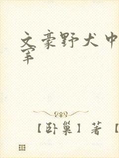 文豪野犬中也太宰