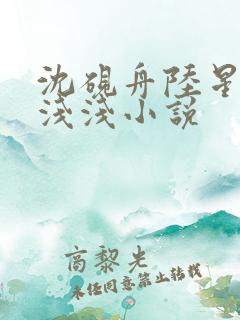 沈砚舟陆星晚苏浅浅小说