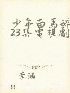 少年白马醉春风23集电视剧在线观看