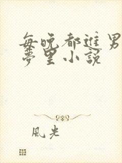 每晚都进男神的梦里小说