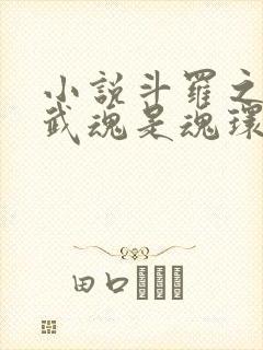 小说斗罗之我的武魂是魂环免费阅读