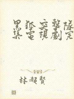 黑狐突击队43集电视剧完整版