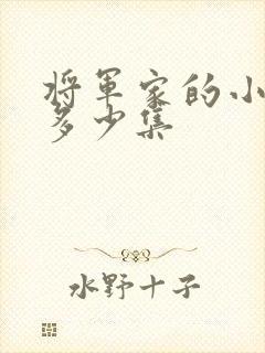 将军家的小娘子多少集