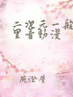 二次元一般在哪里看动漫