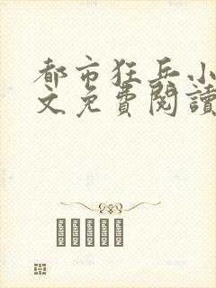 都市狂兵小说全文免费阅读