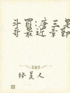 斗罗:唐三是我哥最近章节