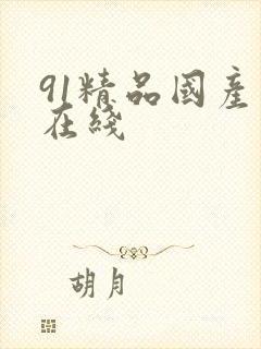 91精品国产人在线