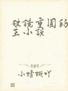 破镜重圆的双男主小说