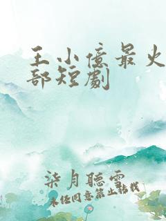 王小亿最火的十部短剧