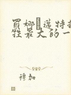 罗娜·迈特拉牺牲最大的一部电影