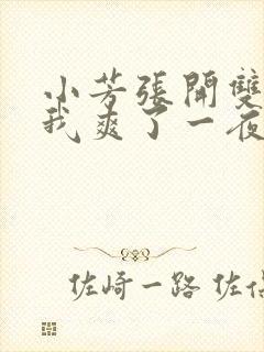 小芳张开双腿让我爽了一夜