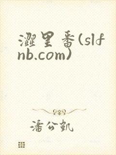 涩里番(slfnb.com)