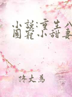 小说:重生八零团宠小甜妻