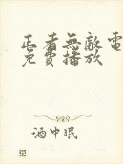 正者无敌电视剧免费播放