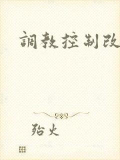 调教控制改造