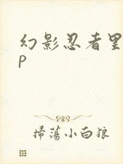 幻影忍者里的cp