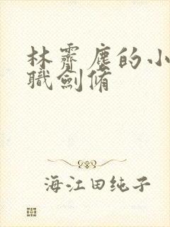 林霁尘的小说全职剑修