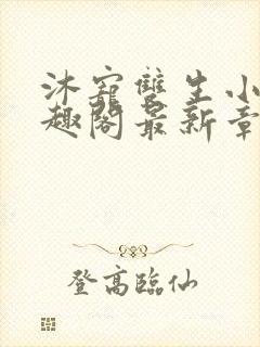 沐宠双生小说笔趣阁最新章节更新时