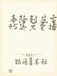 奉陪到底电视剧45集免费播放