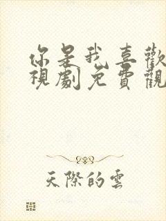 你是我喜欢的电视剧免费观看