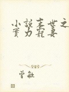 小说末世之枭爷实力宠妻