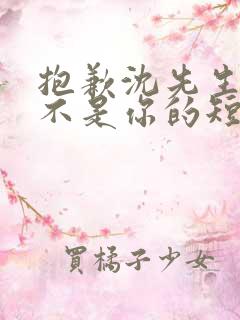 抱歉沈先生孩子不是你的短剧免费观看全集