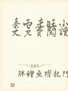 秦雨老旺小说全文免费阅读笔趣阁