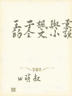 王子枫与袁雯洁的全文小说免费阅读