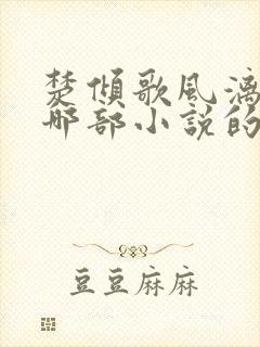 楚倾歌风漓夜是哪部小说的主人公