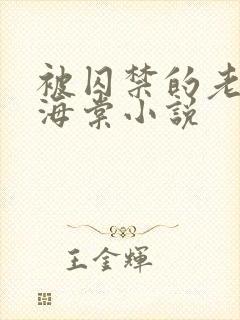 被囚禁的老实人海棠小说