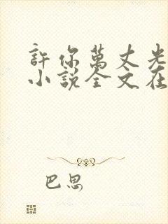 许你万丈光芒好小说全文在线阅读