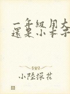 一年级用大本子还是小本子