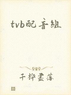 tvb配音组